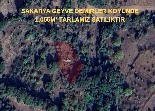 SAKARYA GEYVE DEMİRLER KÖYÜNDE 1.055M² TARLAMIZ SATILIKTIR - SAKARYA GEYVE fotoğraf 6